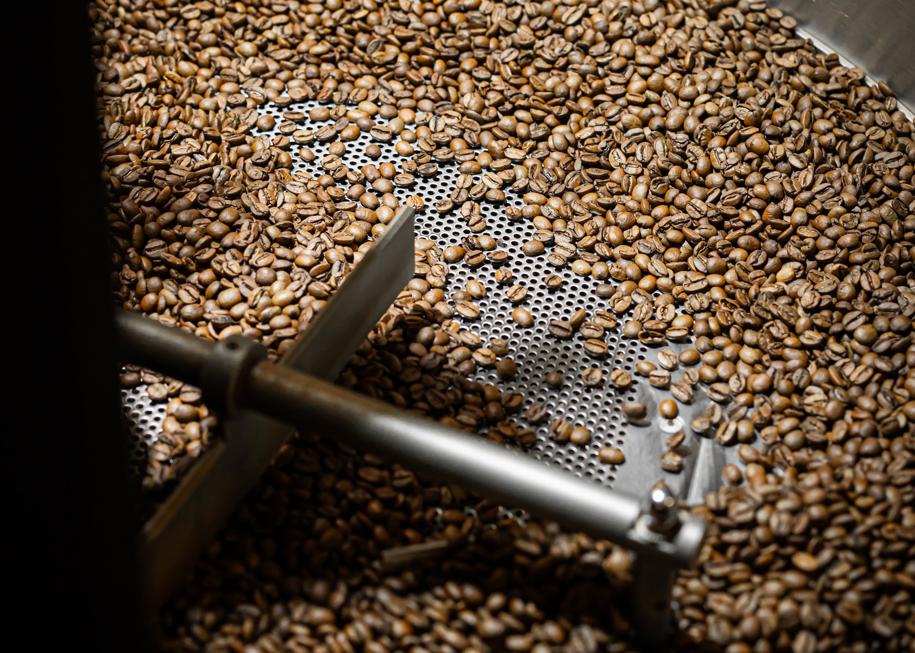 grains de café torréfiés dans le refroidisseur du torréfacteur